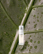 Genetically Blessed Travel Size Refill